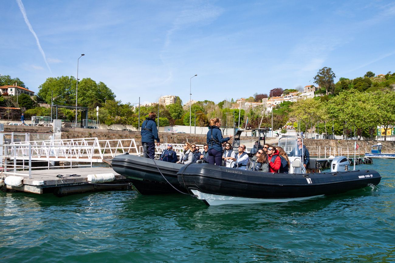 Valiant 750 | BBDouro