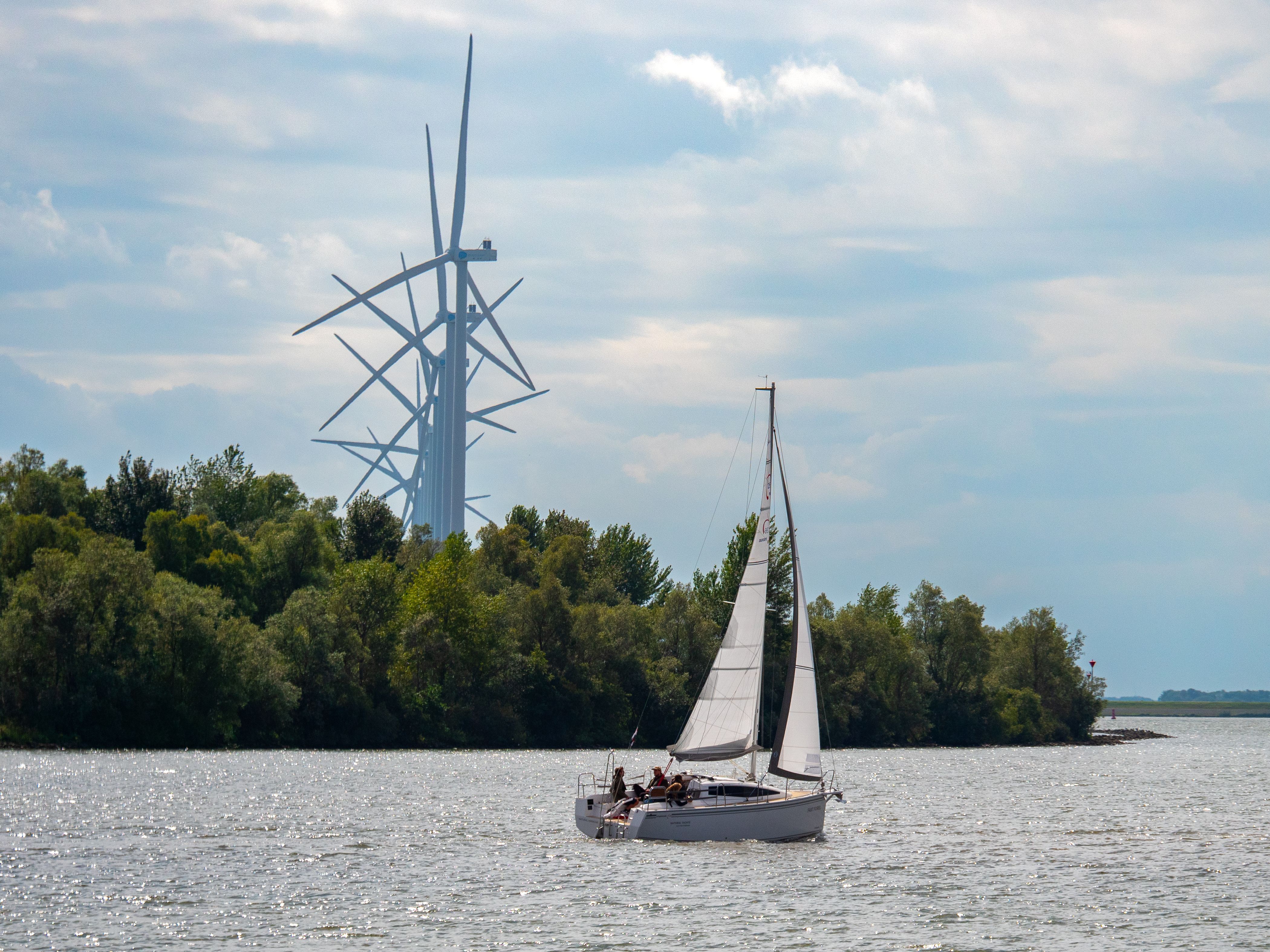 Maxus 26 | Fast Forel