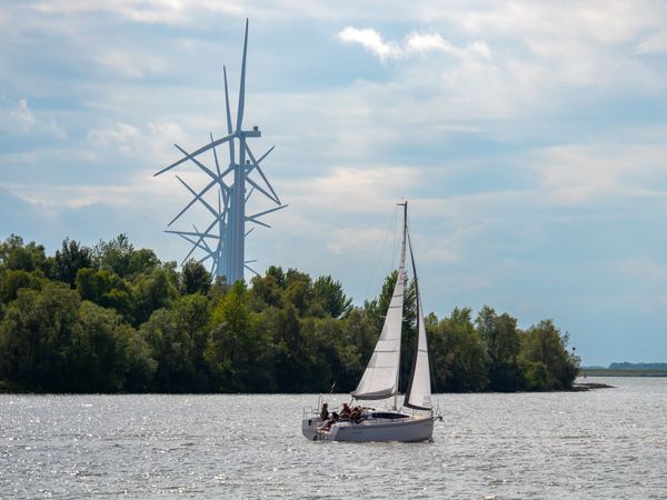 Maxus 26 | Fast Forel