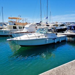 Pursuit 3000 Express | Birillo