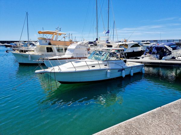 Pursuit 3000 Express | Birillo