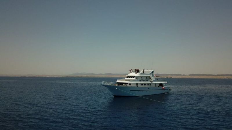 Custom Built 222 | Heaven Saphir