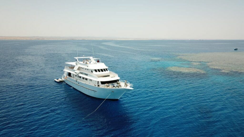 Custom Built 222 | Heaven Saphir