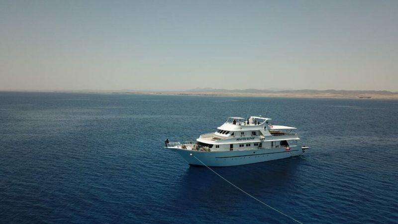 Custom Built 222 | Heaven Saphir