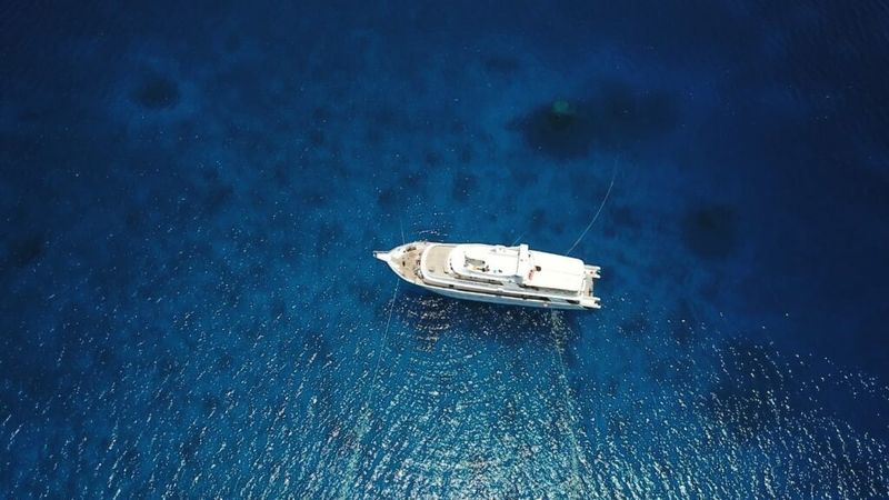 Custom Built 222 | Heaven Saphir