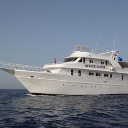 Custom Built 222 | Heaven Saphir