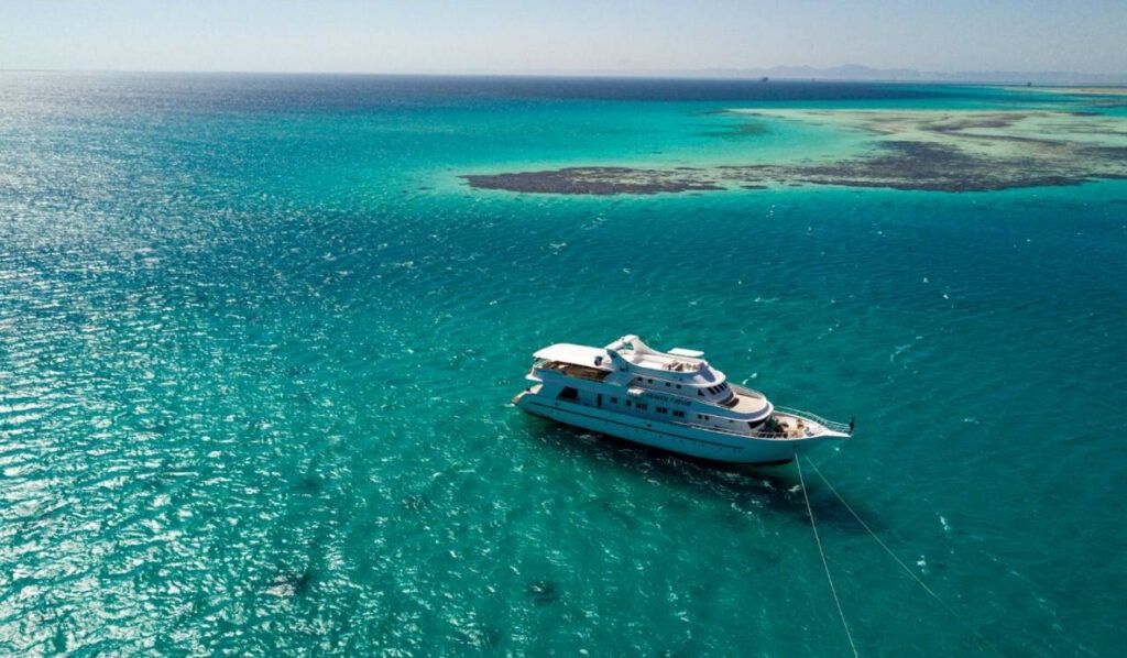 Custom Built 222 | Heaven Saphir