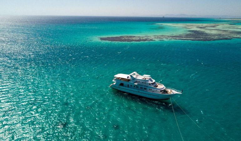 Custom Built 222 | Heaven Saphir