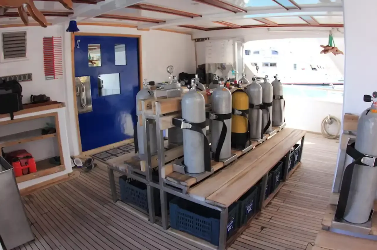 Custom Built 222 | Heaven Saphir