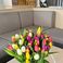 Fountaine Pajot Samana 59 | Maia