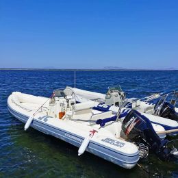 Joker Clubman 26 | 08