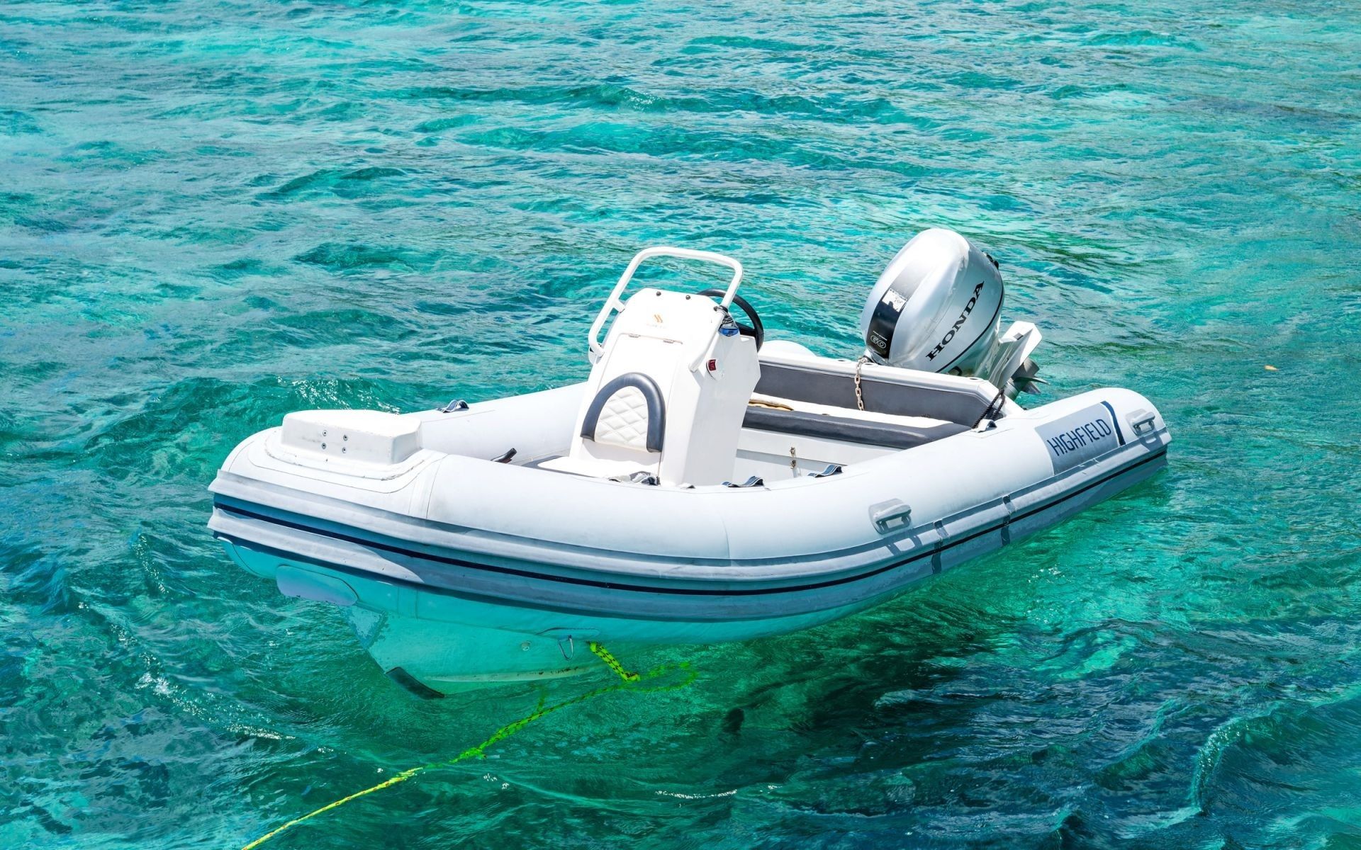 Voyage 590 Electric | Celestine