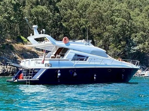 Johnson 56 | Fide Tres