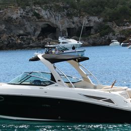Sea Ray 300 | Moma