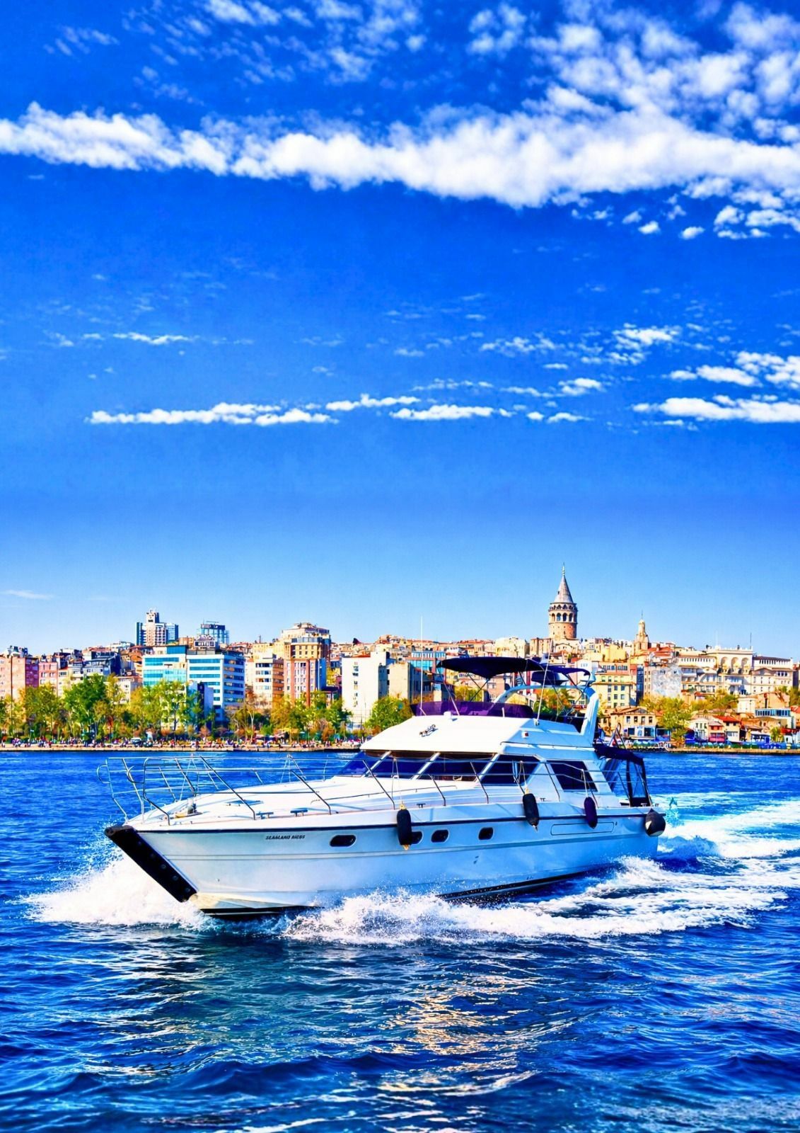Princess 55 | Sealand Ricos