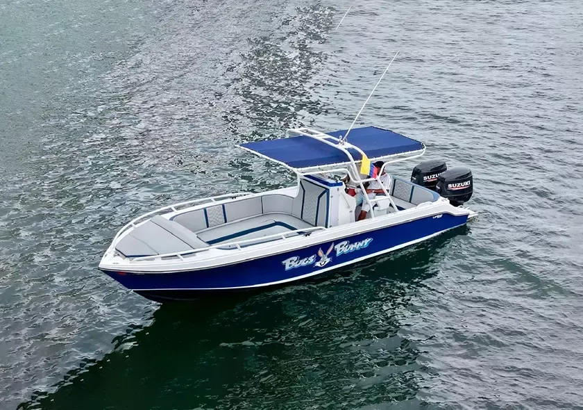 Mako 32 | Bugs Bunny