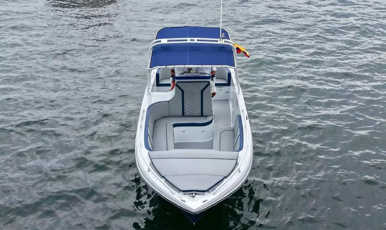 Mako 32 | Bugs Bunny