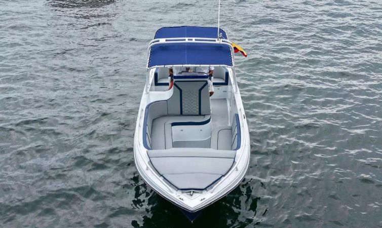 Mako 32 | Bugs Bunny