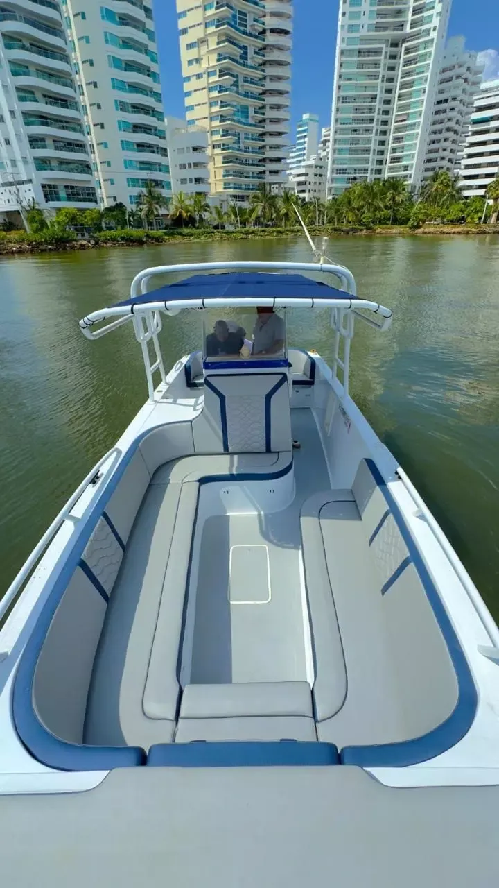 Mako 32 | Bugs Bunny