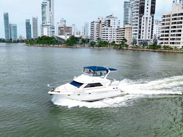 Custom Built 42 | Sol De Verano