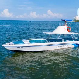 Triton 351 Express | Fantasia Caliente