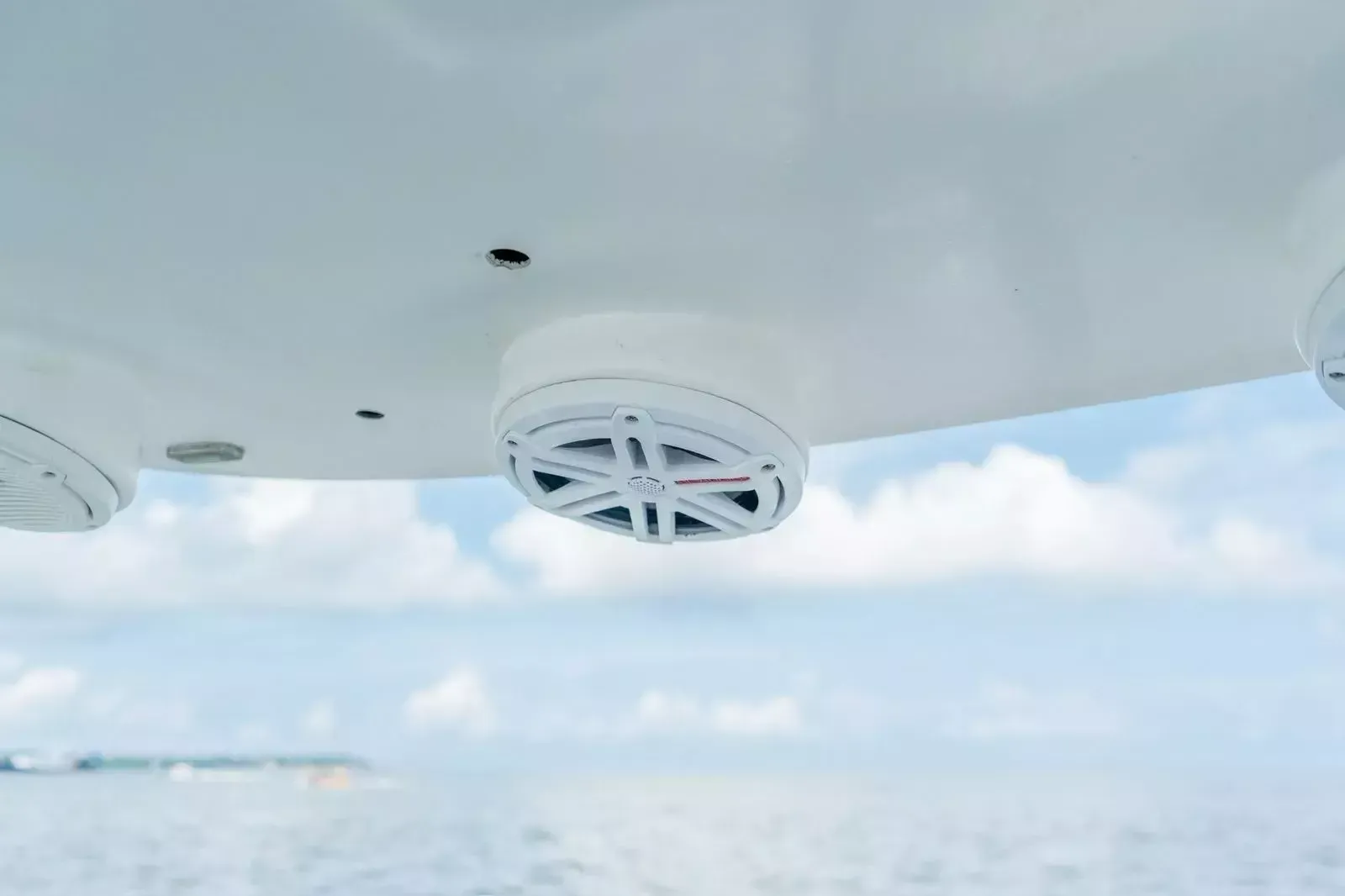 Triton 351 Express | Fantasia Caliente