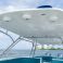Triton 351 Express | Fantasia Caliente