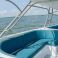 Triton 351 Express | Fantasia Caliente