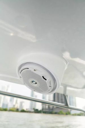 Triton 351 Express | Fantasia Caliente