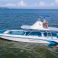 Triton 351 Express | Fantasia Caliente