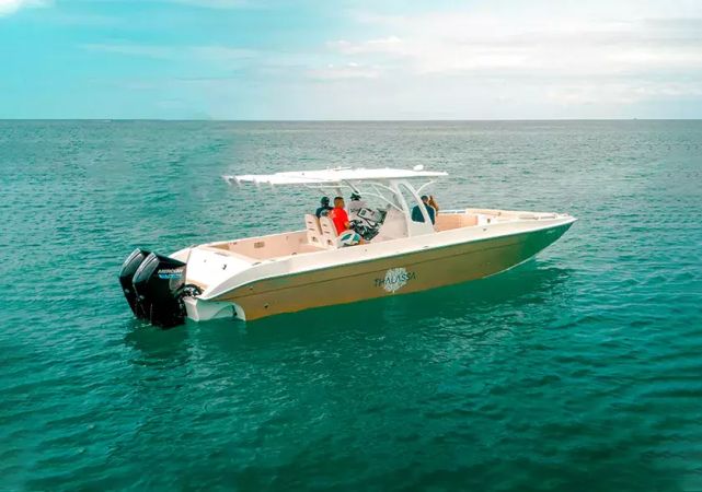 Todomar 38 | Thalassa