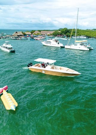 Todomar 38 | Thalassa