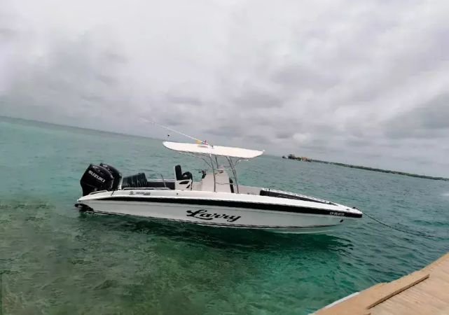 Singlar 290 Plus | Larry