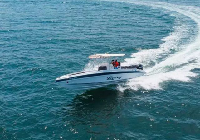 Singlar 290 Plus | Larry