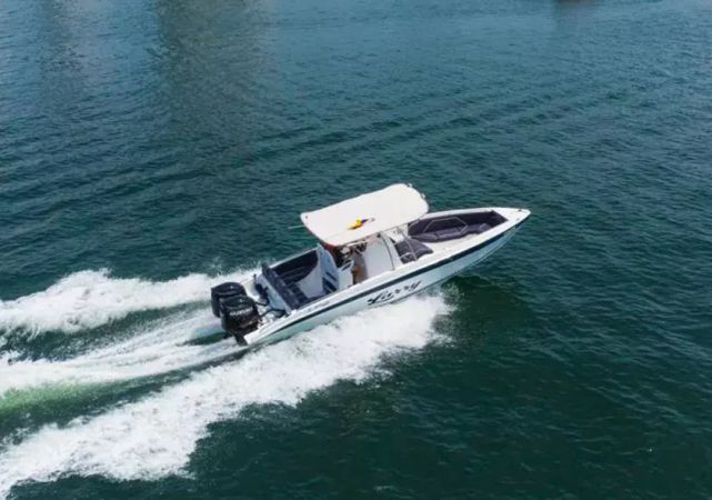 Singlar 290 Plus | Larry