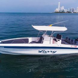 Singlar 290 Plus | Larry