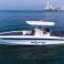 Singlar 290 Plus | Larry