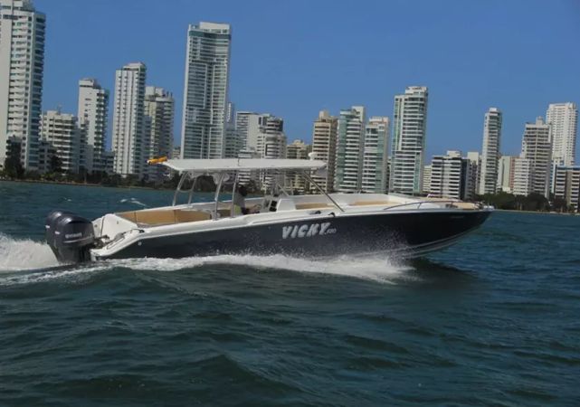 Custom Built 42 | Vicky 420