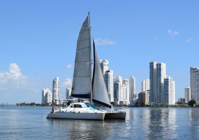 Custom Built 40 | Caro Blue