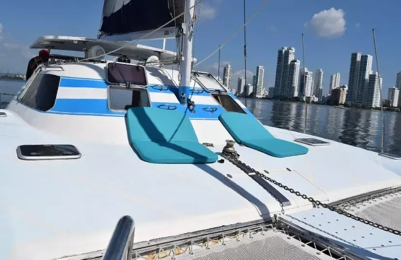 Custom Built 40 | Caro Blue