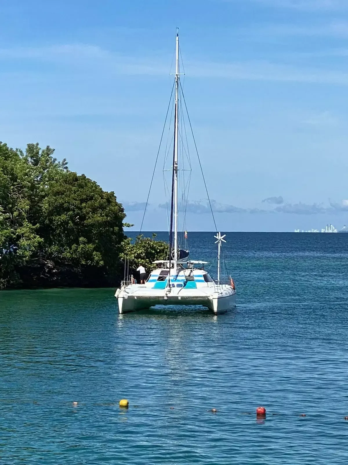 Custom Built 40 | Caro Blue