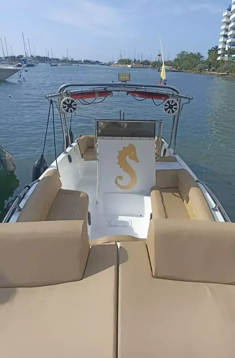 Custom Built 32 | Las Babys