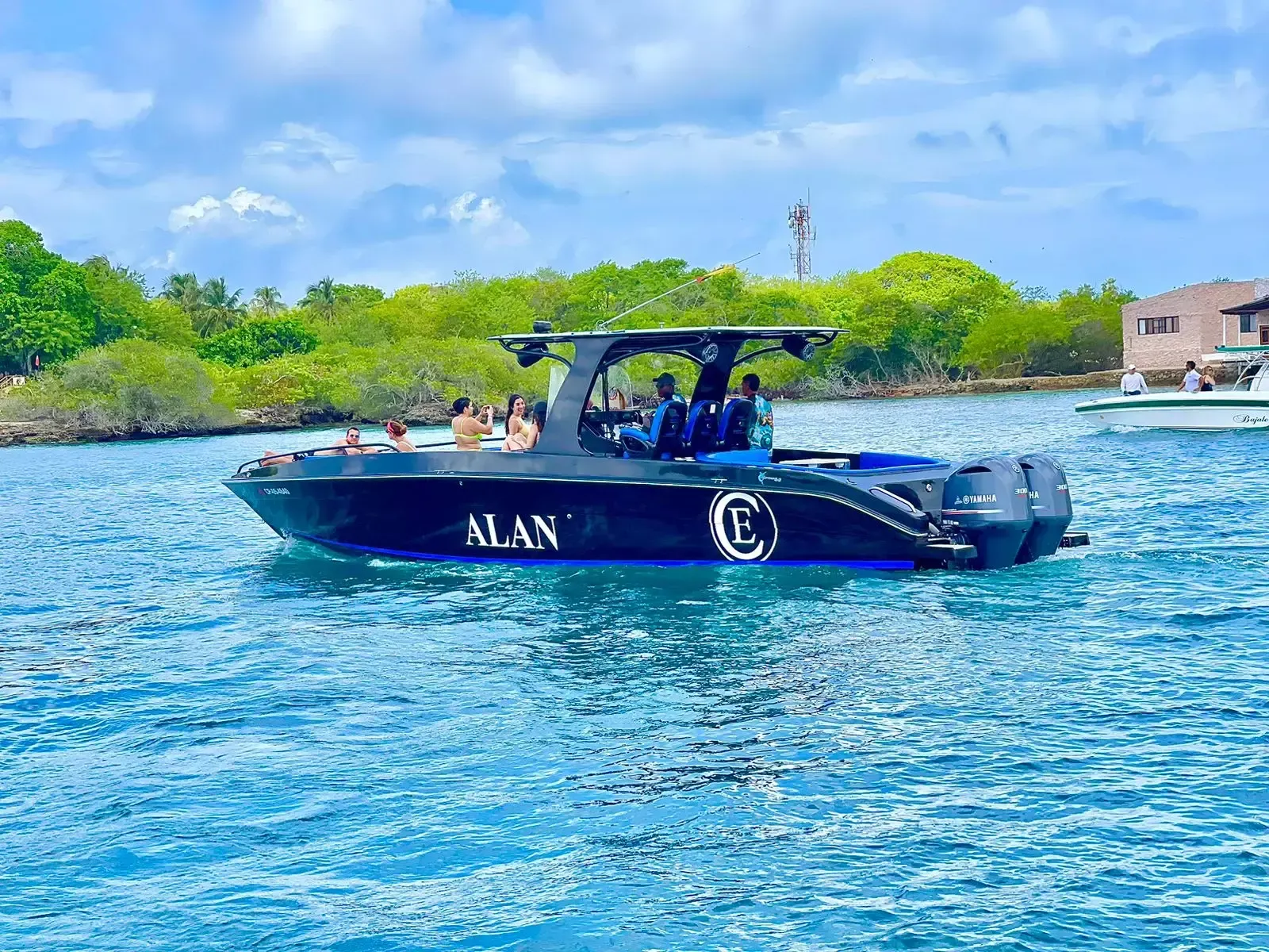 Motomarlin Brown 39 | Alan