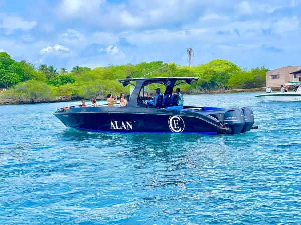 Motomarlin Brown 39 | Alan