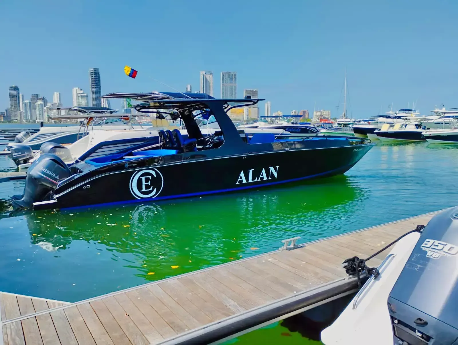 Motomarlin Brown 39 | Alan