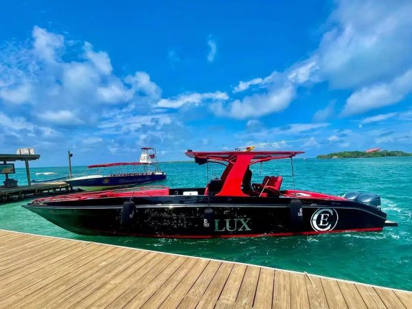 Motomarlin Brown 39 | Lux