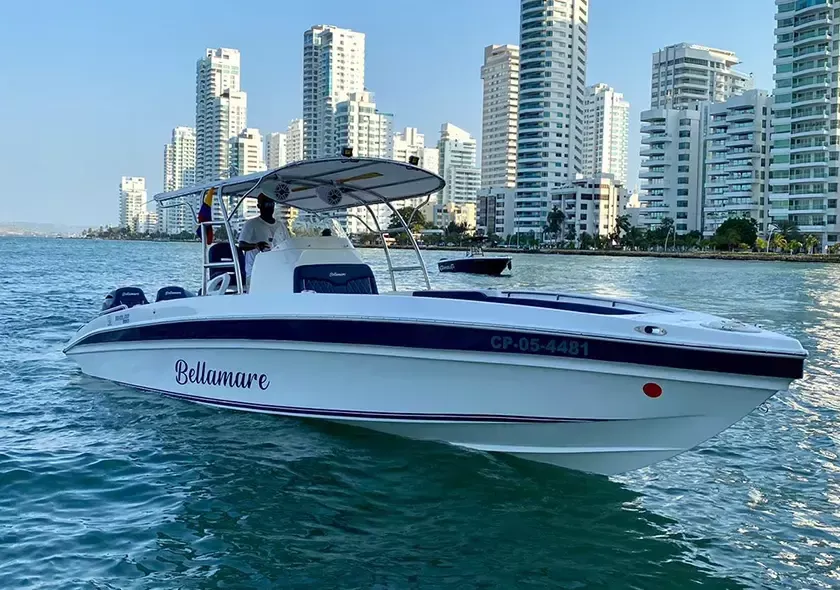 Singlar 290 Plus | Bellamare