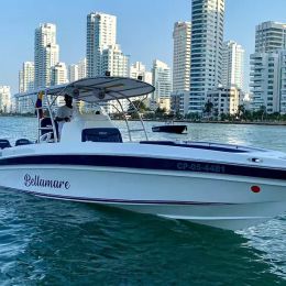 Singlar 290 Plus | Bellamare