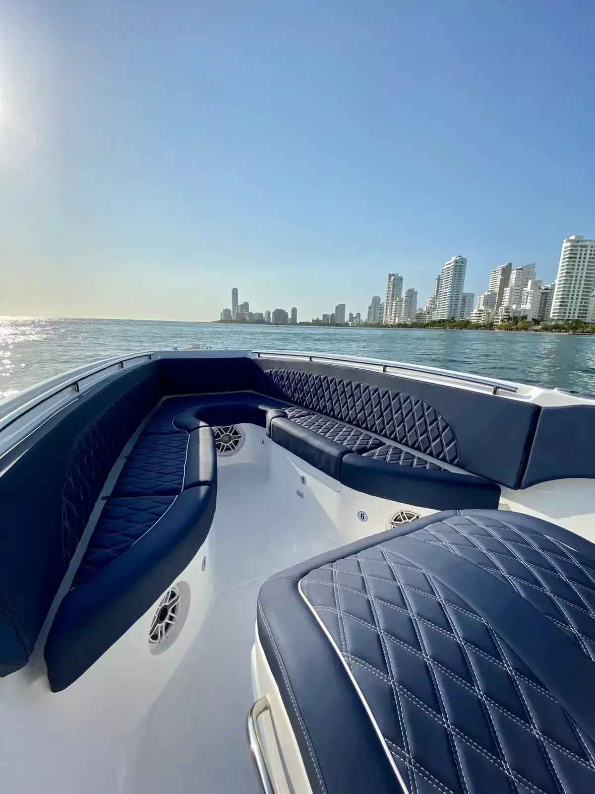 Singlar 290 Plus | Bellamare