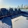 Singlar 290 Plus | Bellamare